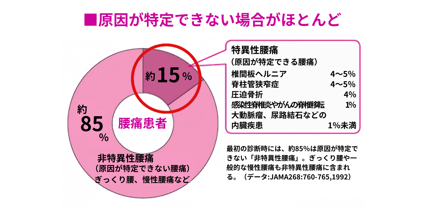 腰痛の資料